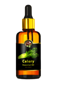 Celery Essential Oil