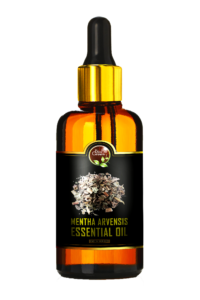 Mentha Arvensis Essential Oil