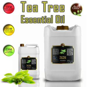 Tea Tree Essential Oil Bulk