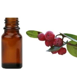 Gaultherie Essential Oil
