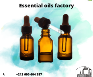 Essential oil factory