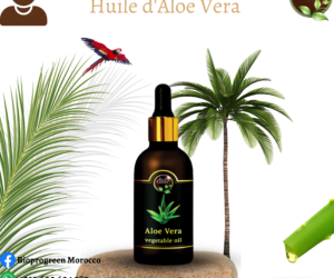 Producteur d’huile d’Aloe Vera