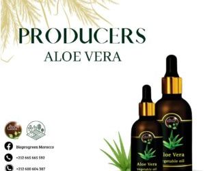 Aloe Vera Oil Producers