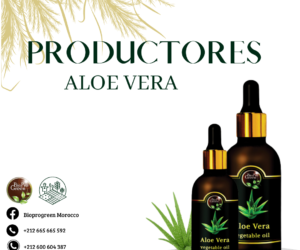 Aceite de Aloe Vera de bioprogreen