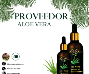 Proveedor de Aceite de Aloe Vera