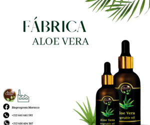 Fábrica de aceite de Aloe Vera