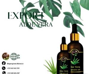 Aloe Vera Oil Exports