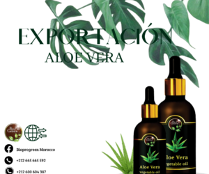 Exportación marítima de aceite de Aloe Vera