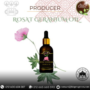 Producer of rosat geranium oil