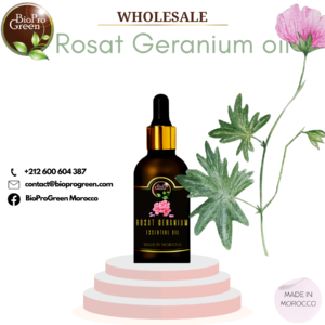 Wholesale Rosat Geranium Oil