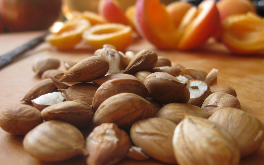 Huile végetale de kernels d’abricot