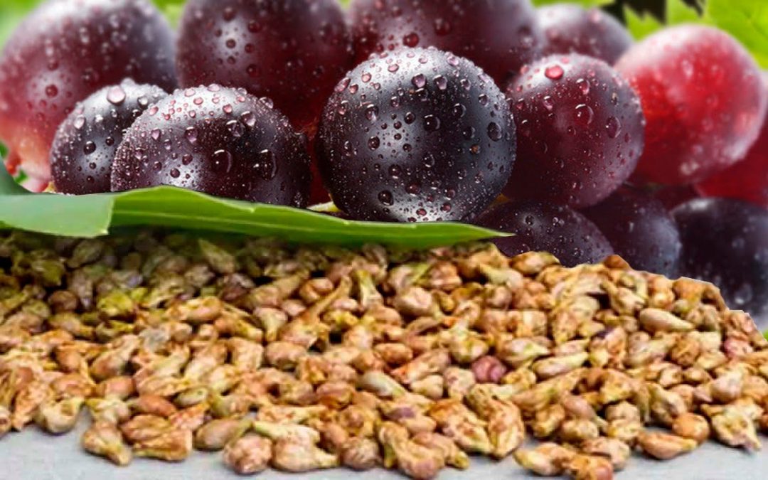 GRAPE SEED VEGETABLE OIL