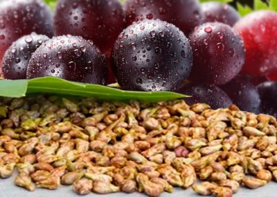 Huile végétale de pépins de raisin