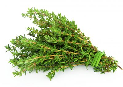 Thyme herbs