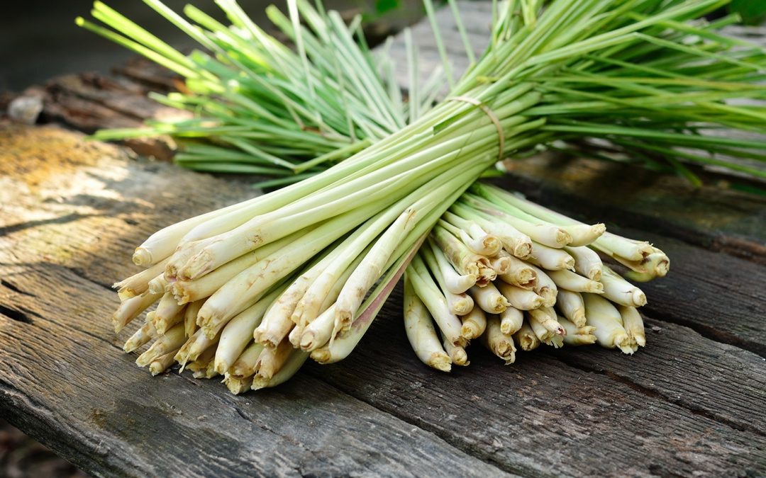 Huile essentielle lemongrass