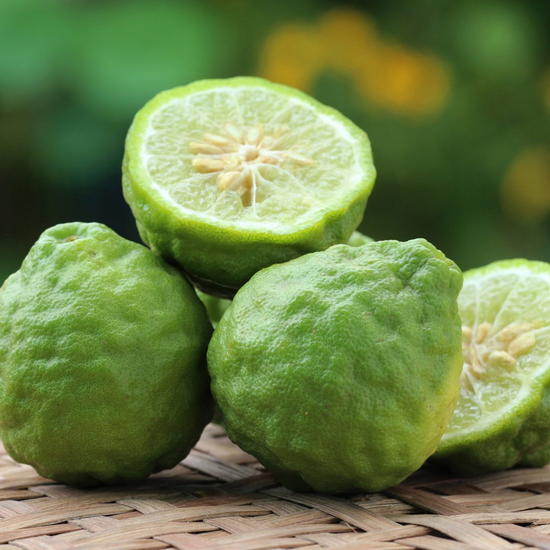 Bergamot Essential Oil - Bergamot Oil