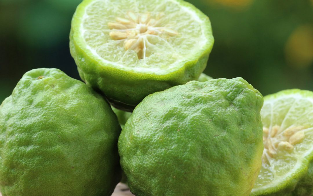 Bergamot essential oil