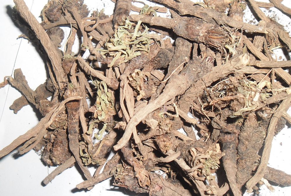 Pellitory roots herbs
