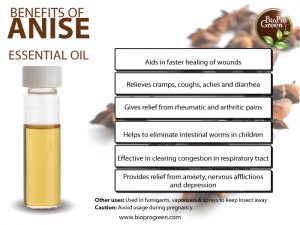 anise essential oil