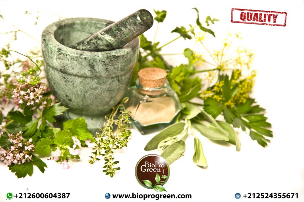 Health Benefits of Essential Oils