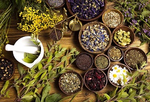 Difference between essential oil and vegetable oil 