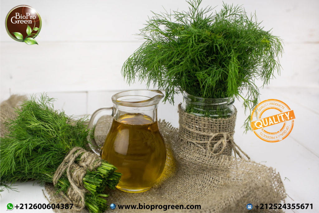 Difference between essential oil and vegetable oil