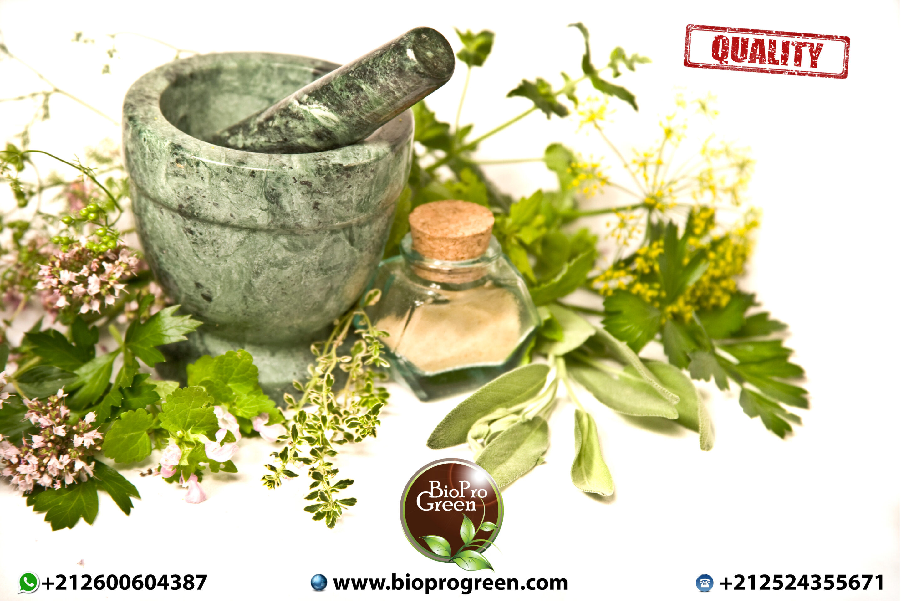 Difference between essential oils and vegetable oil