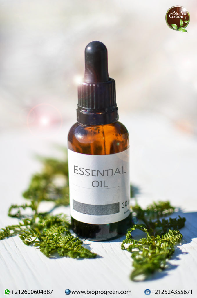 Difference between essential oil and vegetable oil