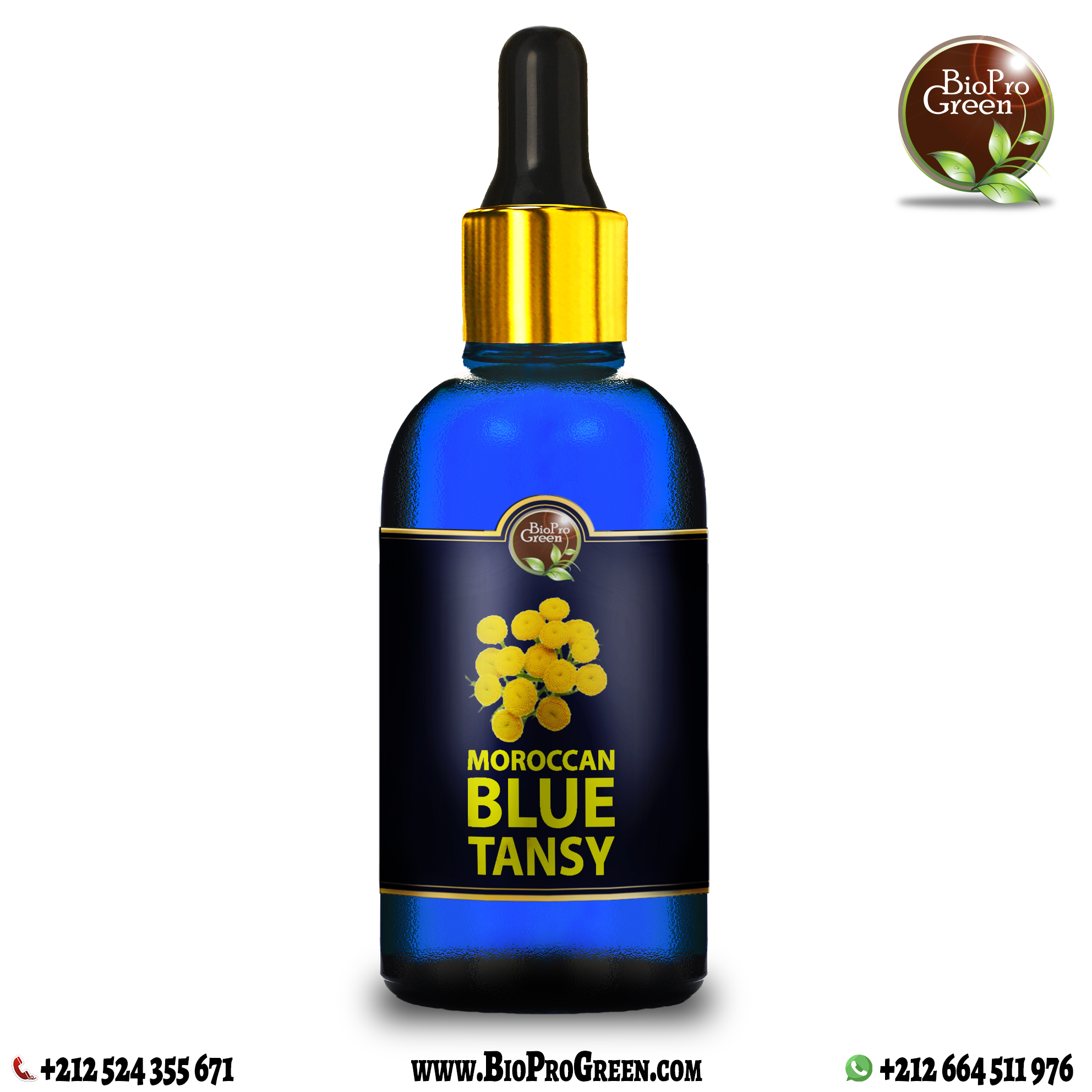 Moroccan Blue Tansy