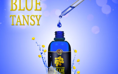 How to Use Blue Tansy Essential Oil