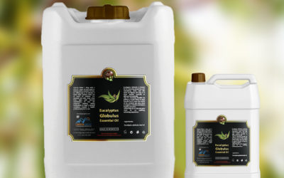 Eucalyptus oil 