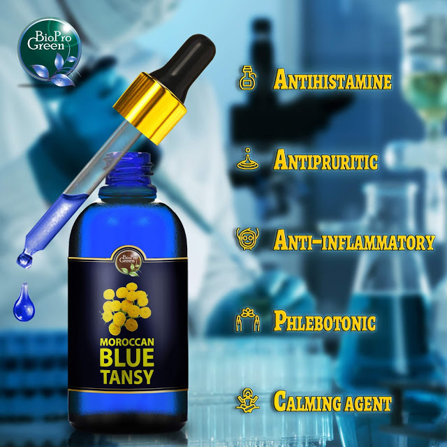moroccan-blue-tansy-essential-oil