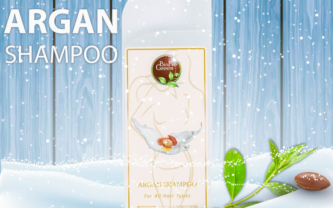 Natural Argan Shampoo Hair Argan Shampoo Lonstin OEM Private Label Wholesale Best Natural Organic Moroccan Argan Oil Hair Shampoo