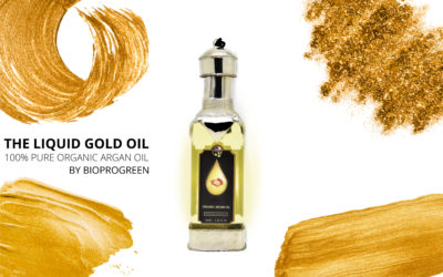 Argan Conditioner Morocco Argan Oil Hair Leave InTreatment Private Label Conditioner For Shiny