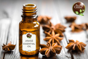 Badiane Essential Oil