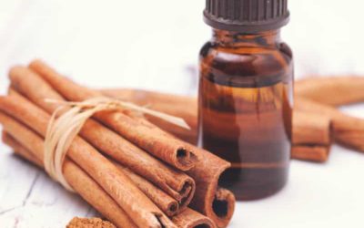 Cinnamon Essential Oil