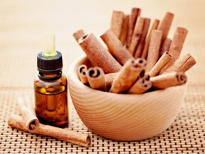 Cinnamon Essential Oil