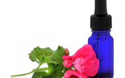 Geranium Essential Oil
