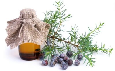 Juniper Essential Oil