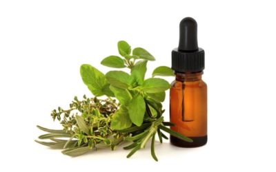 Marjoram Essential Oil