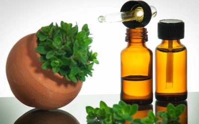 Oregano Essential Oil