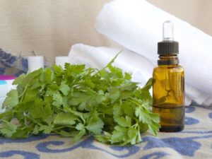 Parsley Essential Oil