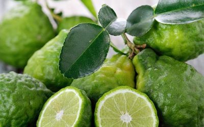 Bergamot Essential Oil