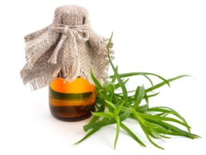 Tarragon Essential Oil