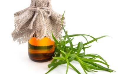 Tarragon Essential Oil