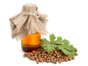 Coriander Essential Oil