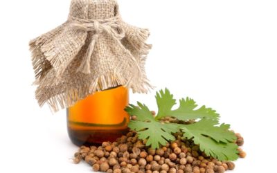 Coriander Essential Oil