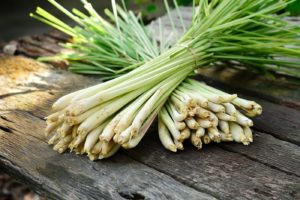 Lemongrass Essential Oil