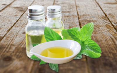 Mentha Arvensis Essential Oil