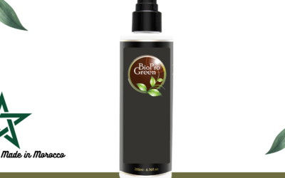 Bulk Haircare